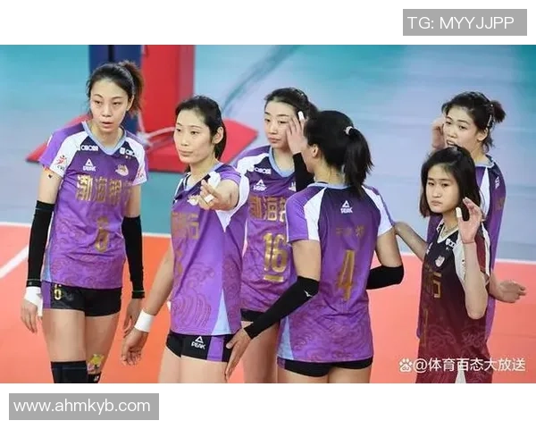 广州排球队实力引发热议球迷对其表现褒贬不一